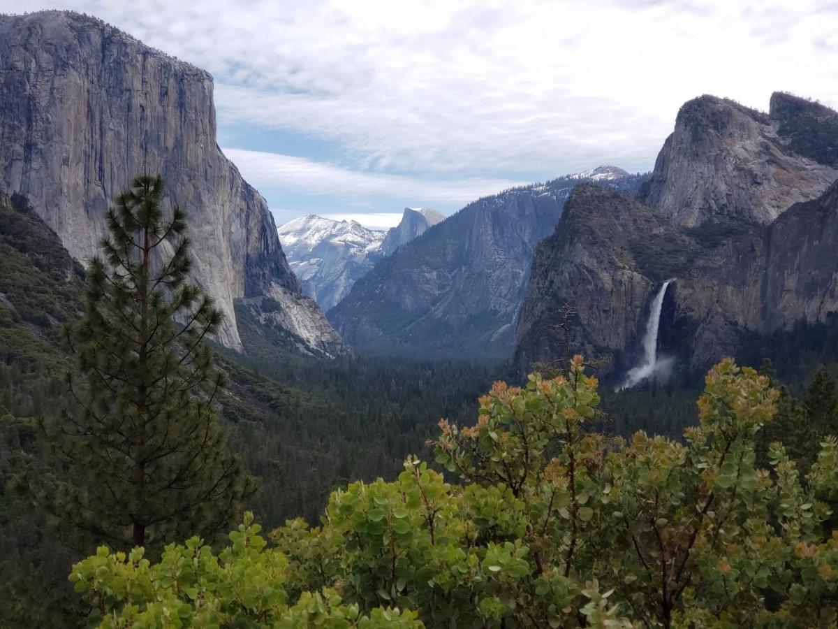 Yosemite Foothill Retreat Hotel Корсголд Екстериор снимка